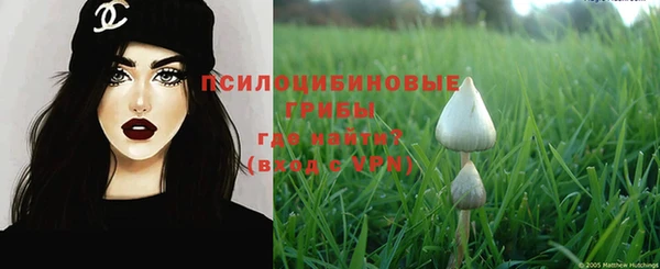 амф Новокубанск