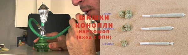 амф Новокубанск