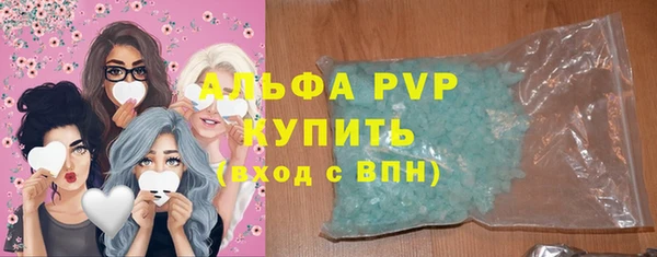 амф Новокубанск