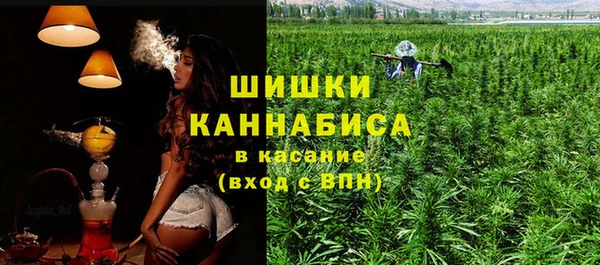 амф Новокубанск